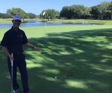 Using the “Texas wedge” around the greens.