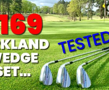 $169 KIRKLAND WEDGE SET... TESTED!!