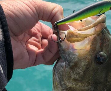 Understanding Water Visibility For June Bass Fishing Success