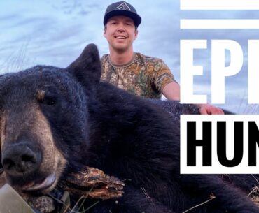 Bear Hunt On The Prairies
