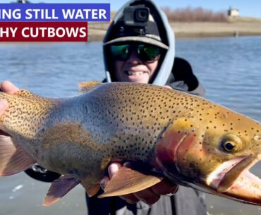Fly Fishing Spinney Mountain Reservoir for TROPHY Cutbow Trout