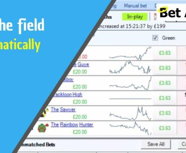 Lay the field - Betfair trading strategies - Automate it on Bet Angel