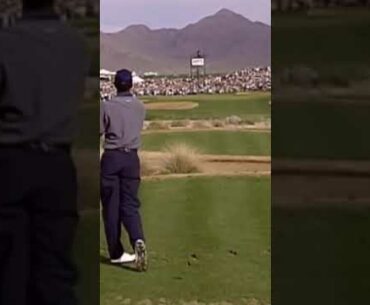 Tiger Woods: Henry Gindt's Sports Legends Series (Part II) #golf #sports #shorts