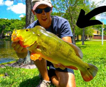 4 HOUR DRIVE WAS WORTH IT! - Florida Pond Fishing with Live Shiners