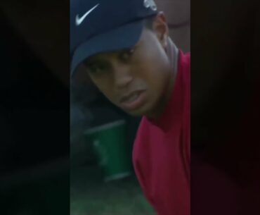 Tiger Woods: Henry Gindt's Sports Legends Series (Part I) #golf #sports #shorts