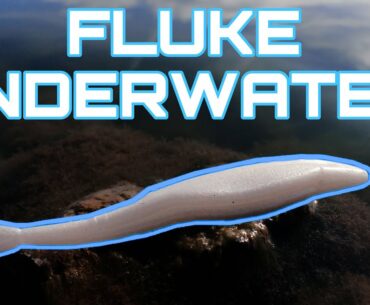 H.Y.P.R How To Fish A Fluke! (+Underwater Footage)