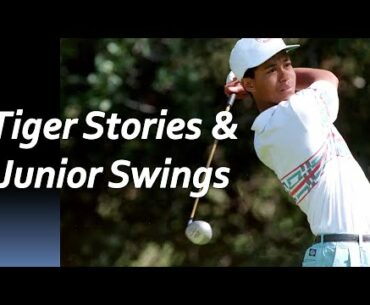 Tiger Woods Stories and beautiful junior golf swings