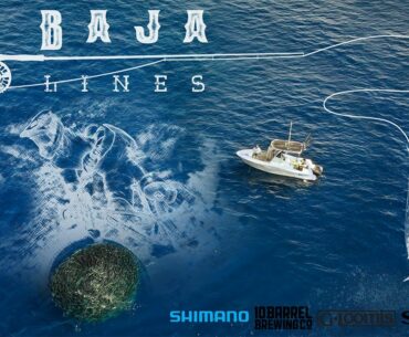 Baja Lines