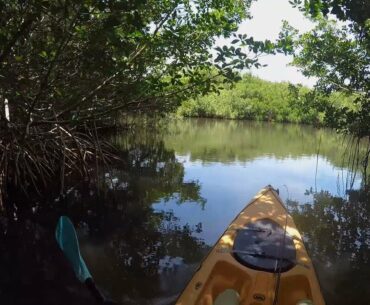 Tarpon Fishing Can Be Hard... (Backcountry Kayak Fishing)