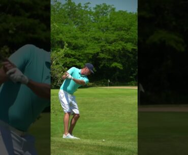 Did it hold the green?