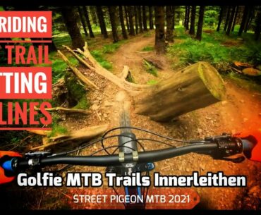 Golfie MTB | Scotland's Trail Wonderland!