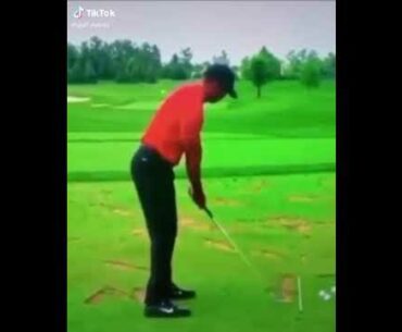 Golf love -Cute videos for people who love golf #shorts