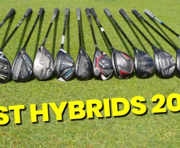 BEST HYBRIDS 2021 - WE PICK A WINNER!