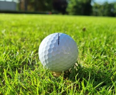 EcoTee biodegradable golf tees