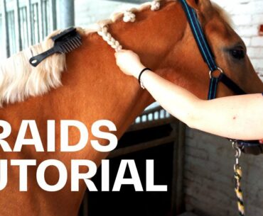 How to braid your horse's mane? Tutorial with Olivia Towers | Guest Vlog