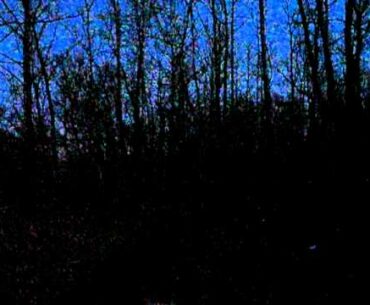 disc golf after sunset - Bentonville, Arkansas - Lake Bella Vista disc course