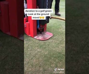 Aeration to a golf green #golf #green #shorts