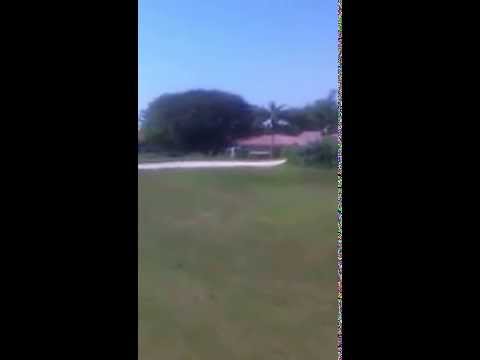 Old Lady Driving on Golf Course during U.S. Open Qualifier