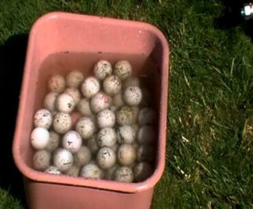 How To Clean Your Golf Balls