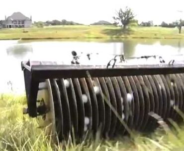 Golf Balls Lost and Found