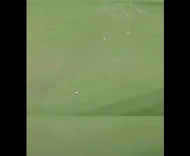 Golfing Shorts   Part 179 #Shorts