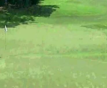 Bell micro ladies golf open