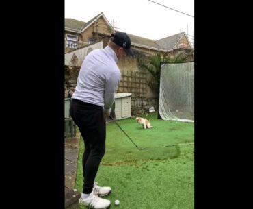 My dog got tricks  ❤️❤️ #golf #shorts #golfgirl      | GOLF#SHORT