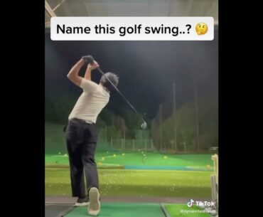 Name this golf swing ??? Tik Tok golf stories 🏌🏼‍♂️🏌🏼‍♂️ ❌❌ 😂😂 #golf #shorts | GOLF SHORT