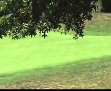 High School Lady's Golf