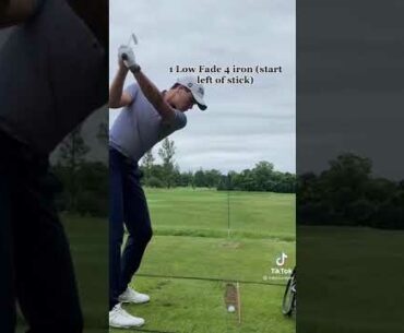 God damn it so pure. Is the point of the pole to align you to the target? 🚀🚀🚀 #golf #shorts