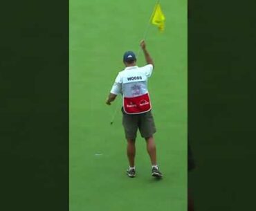 Tiger Woods Greatest Moments Part 9. #Tigerwoods #PGa #Golf #Shorts.