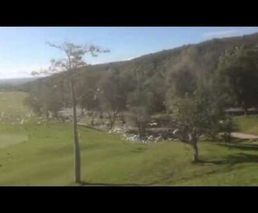 Gaviotas durante la Final de Lady Golf 2014
