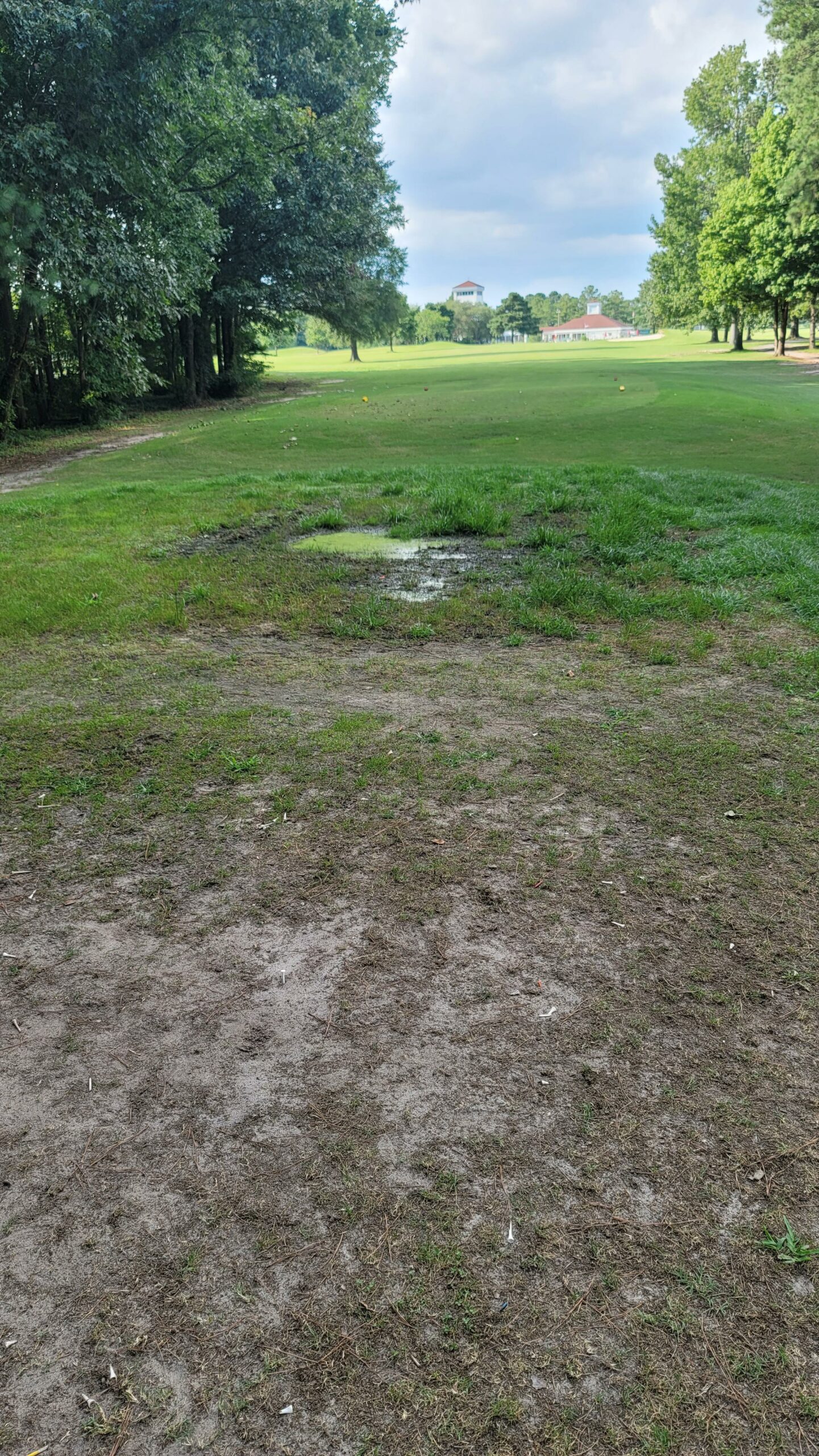 has-anyone-ever-seen-a-swamp-in-a-tee-box-any-groundskeepers-that-can