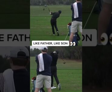 Golfing Shorts   Part 314 #Shorts