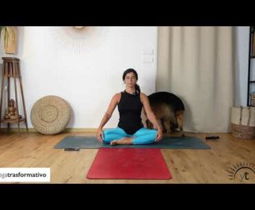 Yoga per la schiena - lezione completa