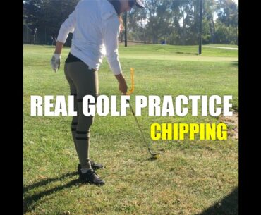 MORE PARS GOLF #shorts: REAL GOLF PRACTICE (chipping)