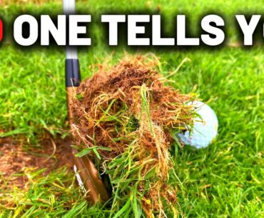 This Is The Reason You Are FATTING IRON SHOTS!