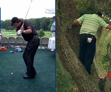 WHAT ARE THE ODDS?! | Golf balls landing in weird places