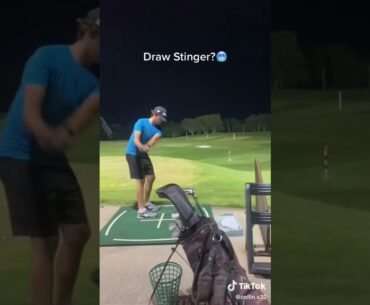 Stinger , draw 💪💪