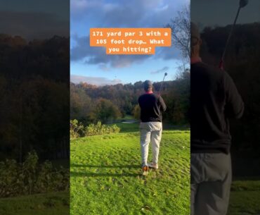 The trees, its always the tree ❤️❤️ #golf #shorts     | GOLF#SHORT