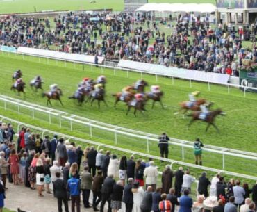 Horse Racing Global Live