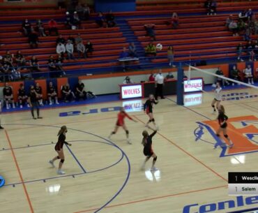Salem and Flora Volleyball Regionals
