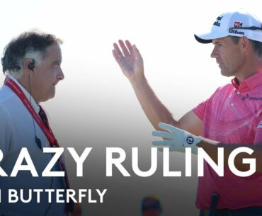 Padraig Harrington involved in bizarre butterfly ruling
