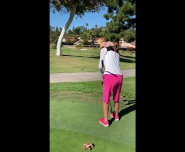 20.  Hole 18- Wrong Putting Green