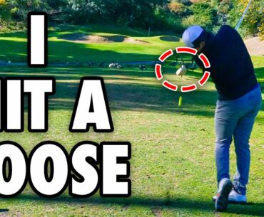 I Hit A Goose In The Face!! // Two Amateurs Take On PGA Pro!