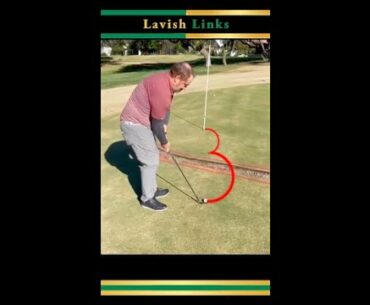 When You Have to Get Creative for Birdie