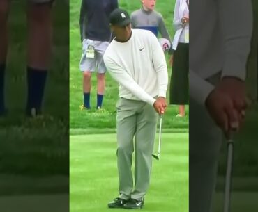 Tiger Woods amazing chipping technique! #shorts #golfshorts #youtubeshorts #tigerwoods
