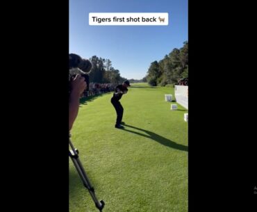 tiger wood Comeback #golf  #shorts #golftiktok