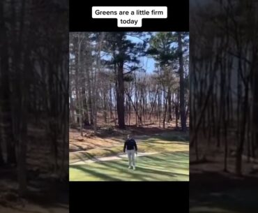 Tough to hit the greens today #golf  #shorts #golftiktok