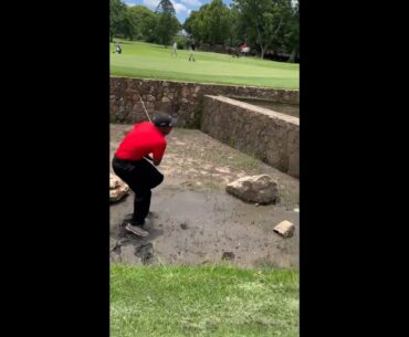 Thought he had it with Sunday Tiger outfit on  #golf  #shorts #golftiktok